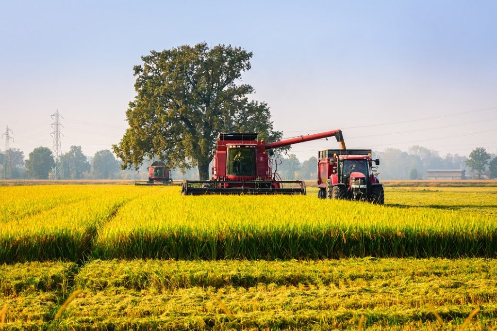 diffida preventiva misura antiburocrazia