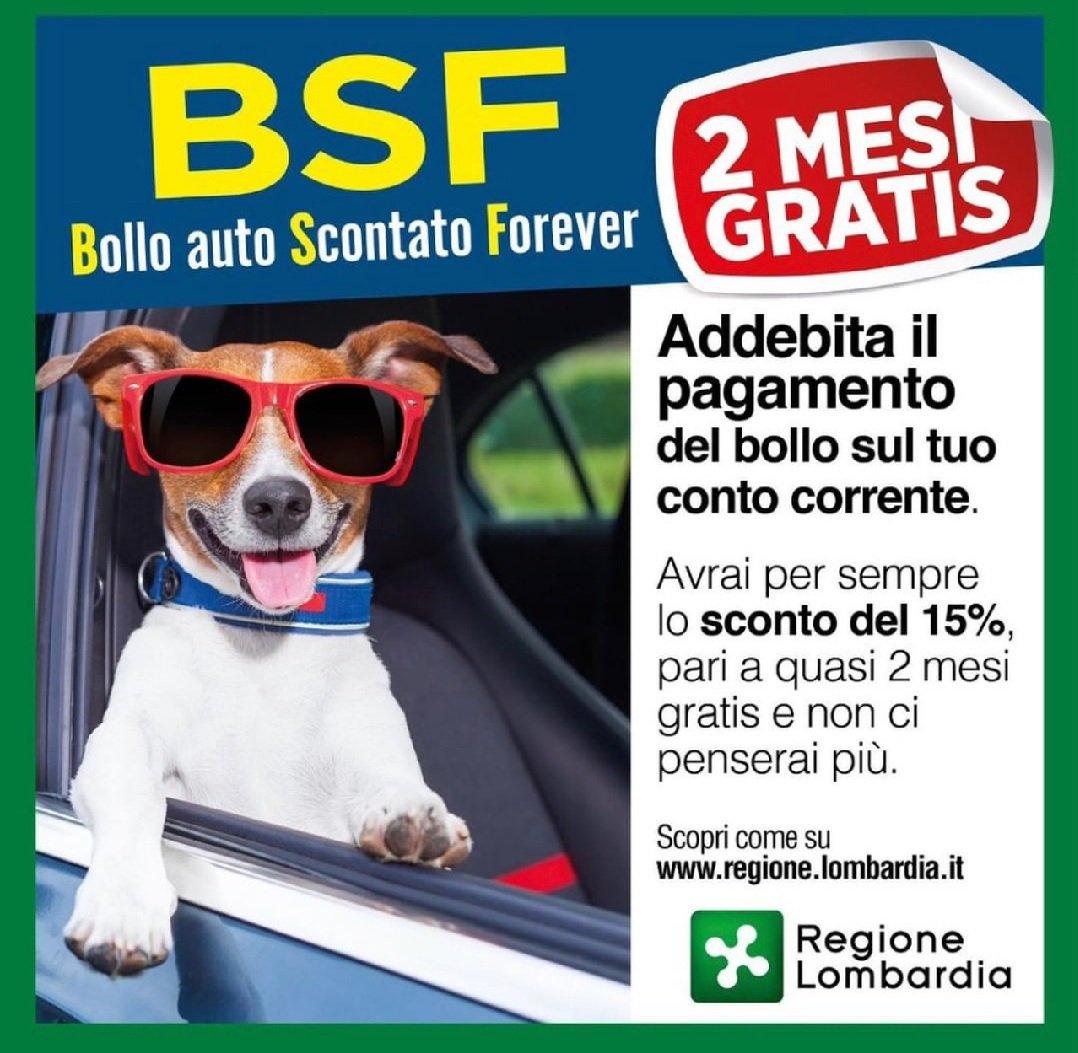 bollo auto addebito bancario dog 