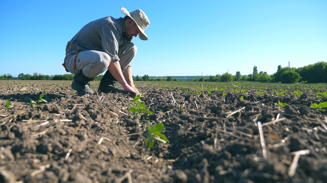 agricoltura minimo deflusso