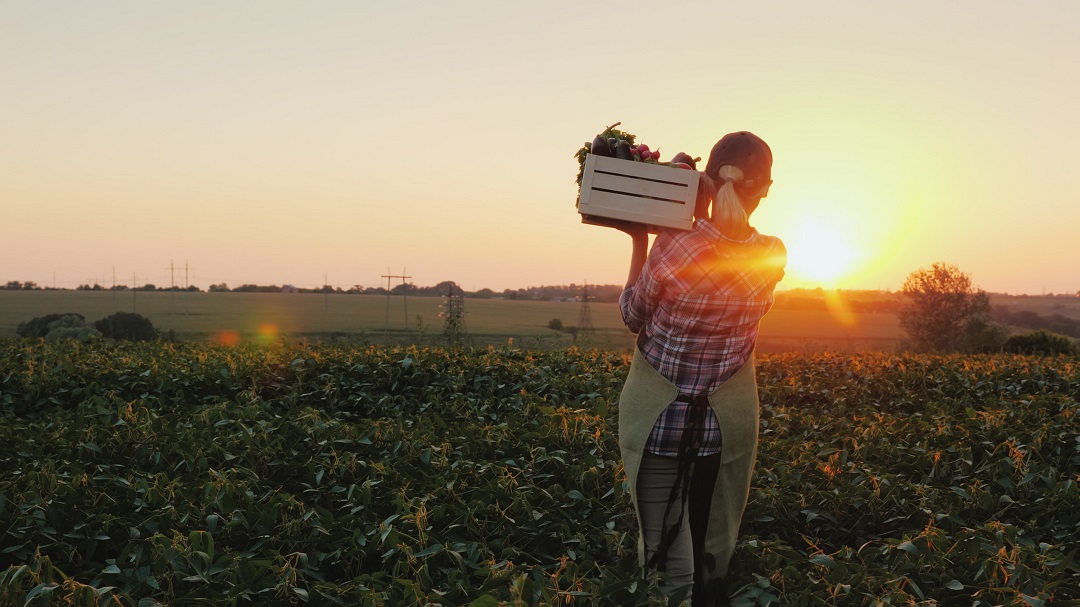 aziende agricole maxi sanatoria