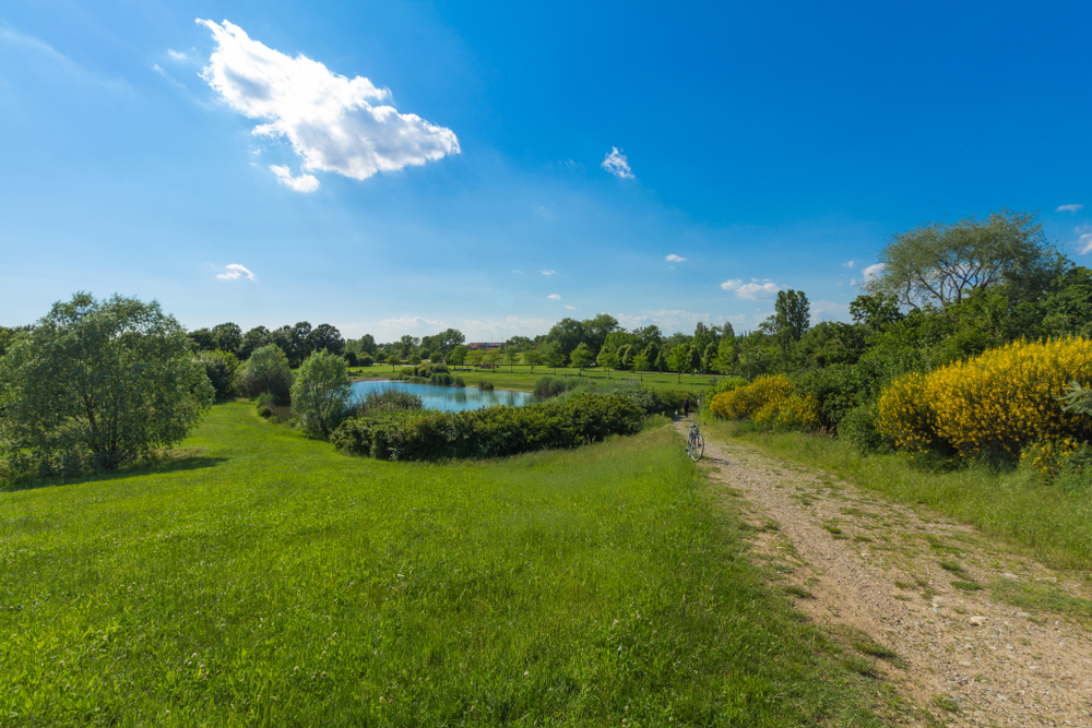 Parco Nord esondazione Seveso