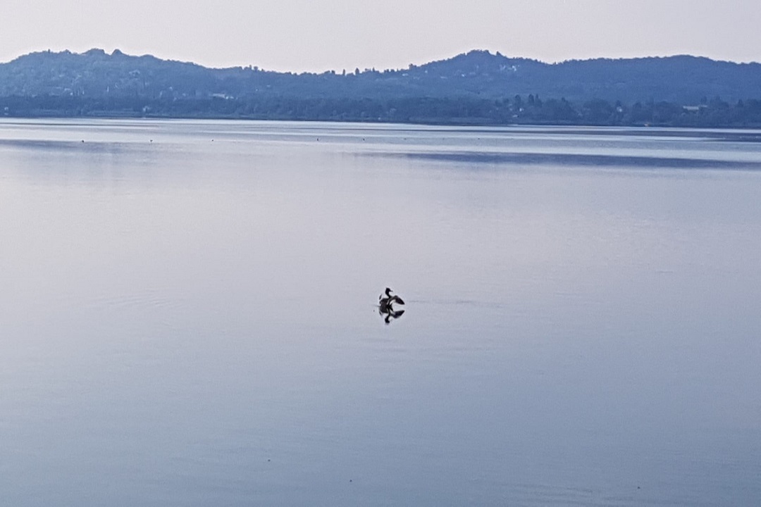 lago varese impianto ipolimnico