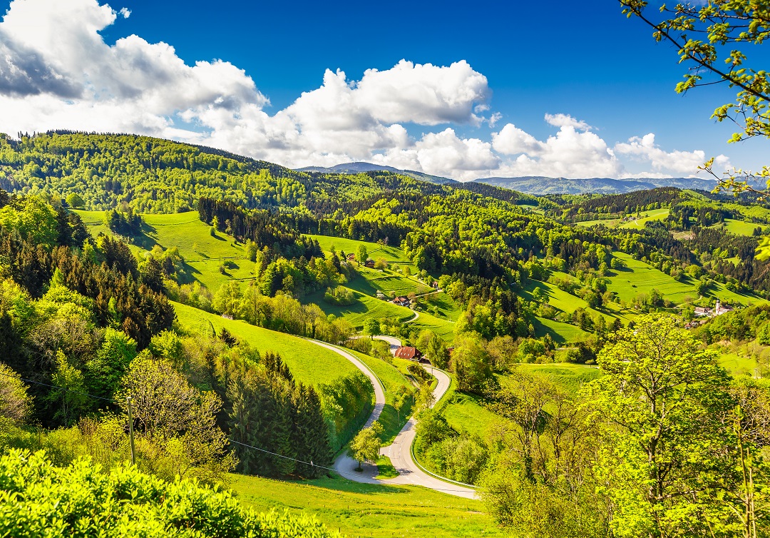 finanziamento strade silvo pastorale