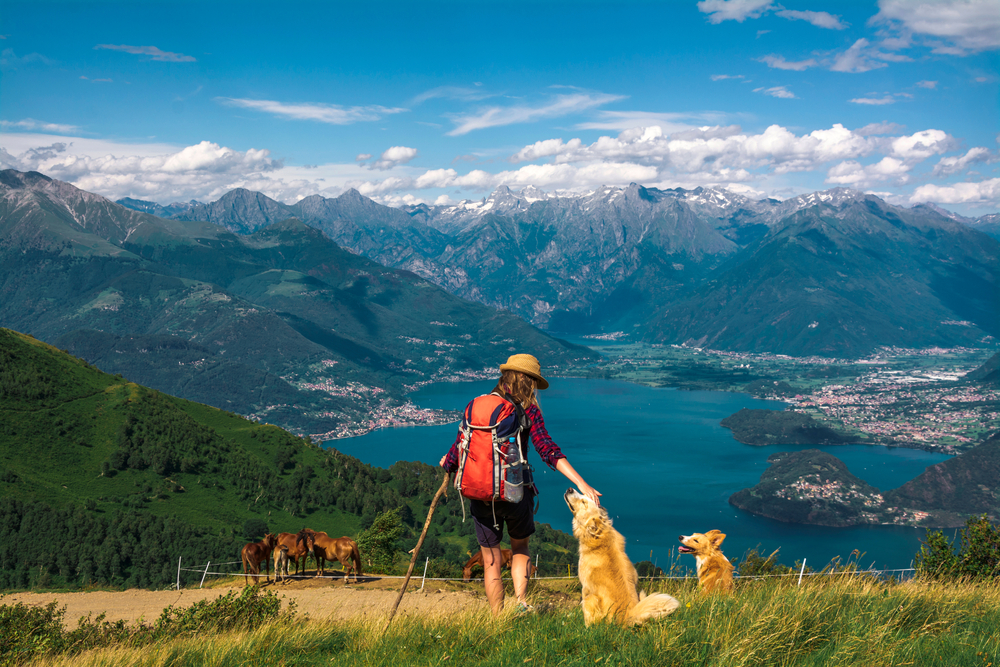 Bando Rifugi 2 milioni