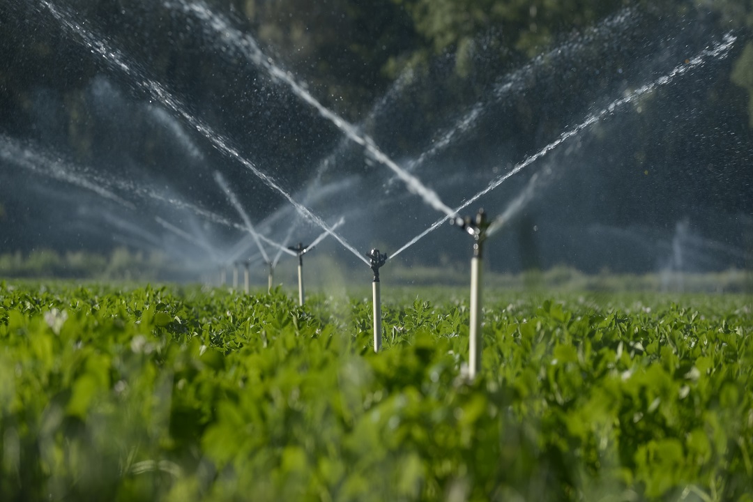 acqua agricoltura