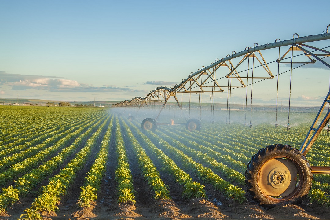 acqua agricoltura