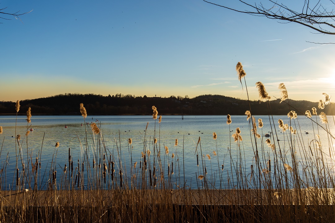 accordo sponde lago Varese