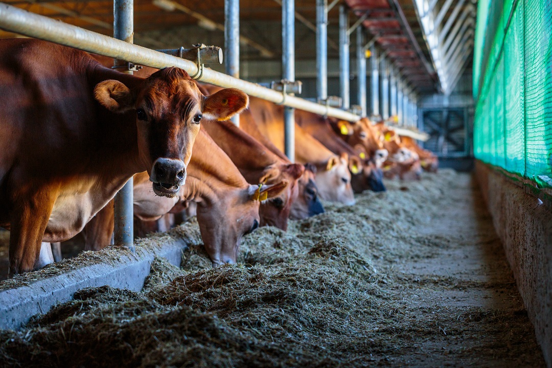 covid valore agricolo lombardo