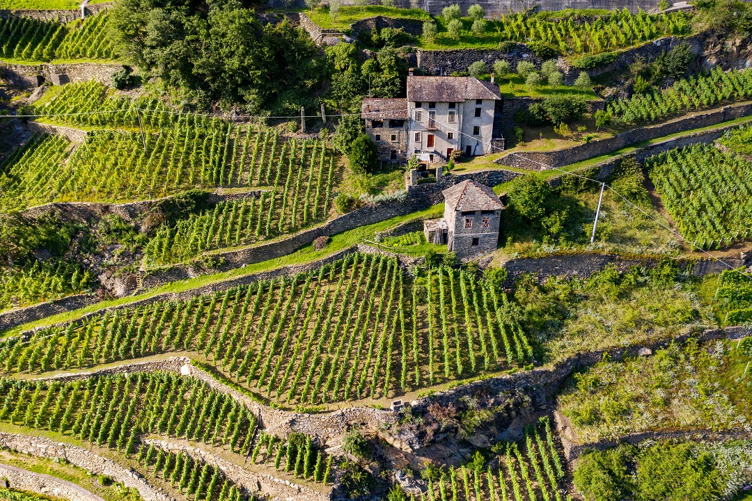 agricoltura montagna