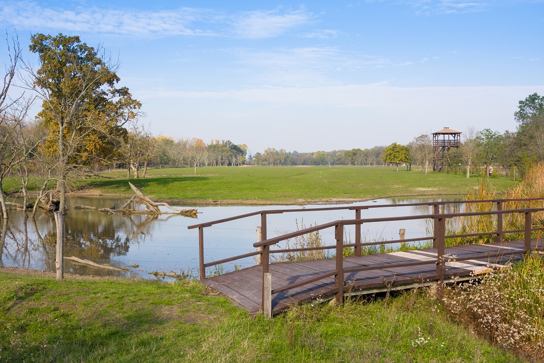 Valutazione incidenza siti natura, semplificata da Regione Lombardia