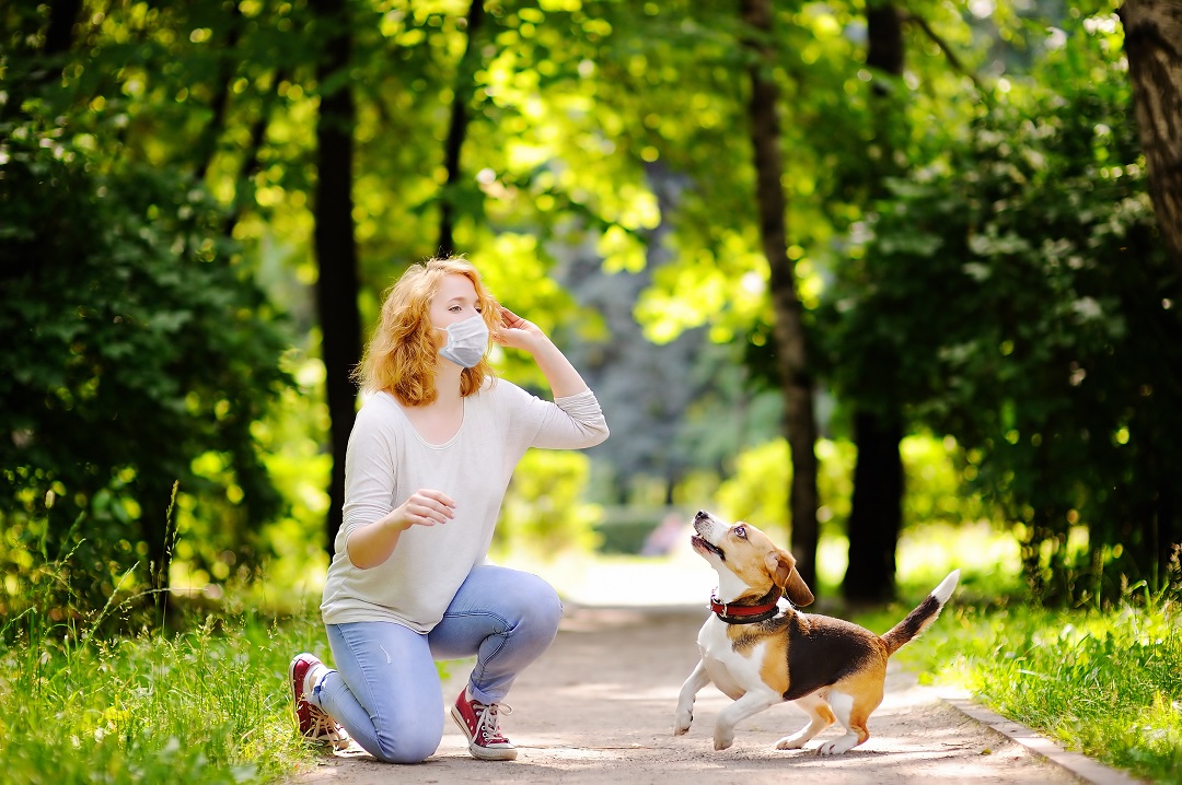 Maltrattamento animali Regione Prefettura