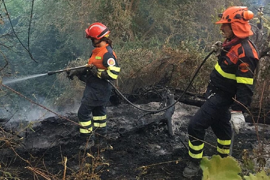 Incendi Calabria