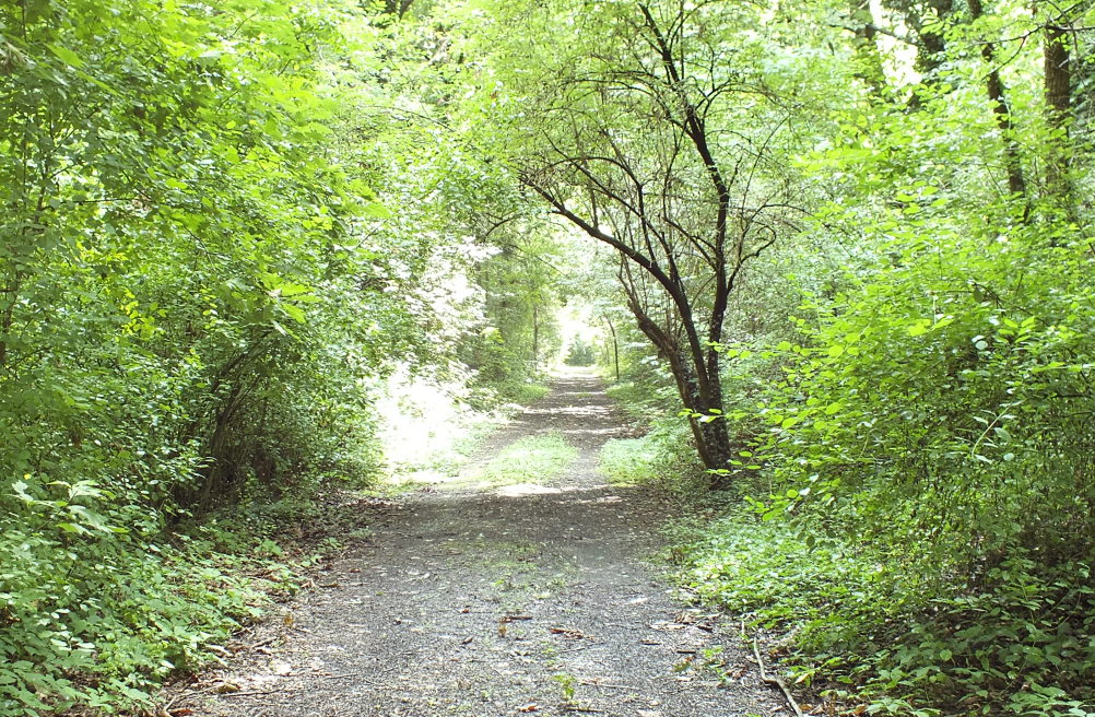 arresti parco groane