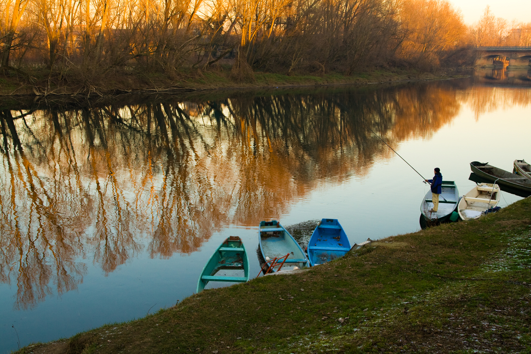 lombardia pesca acquacoltura