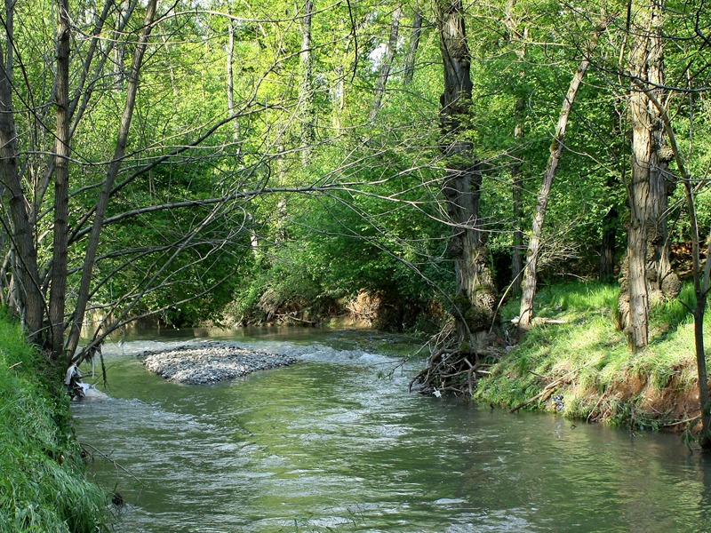 sicurezza parco pineta