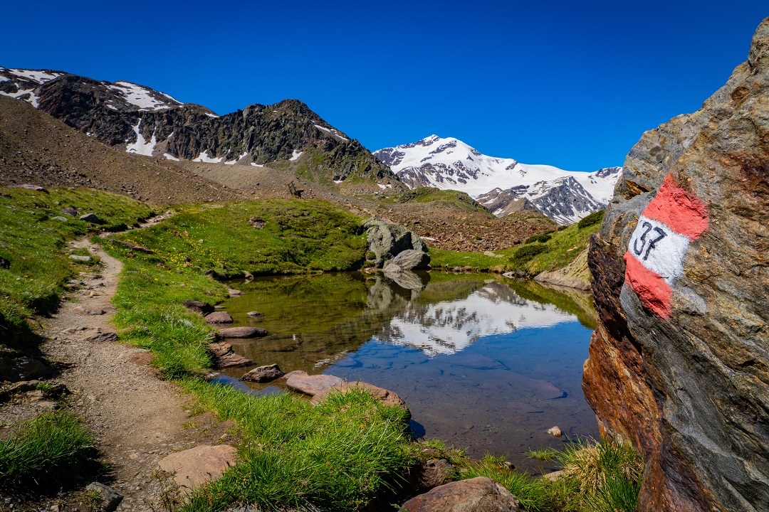 parco stelvio investimenti