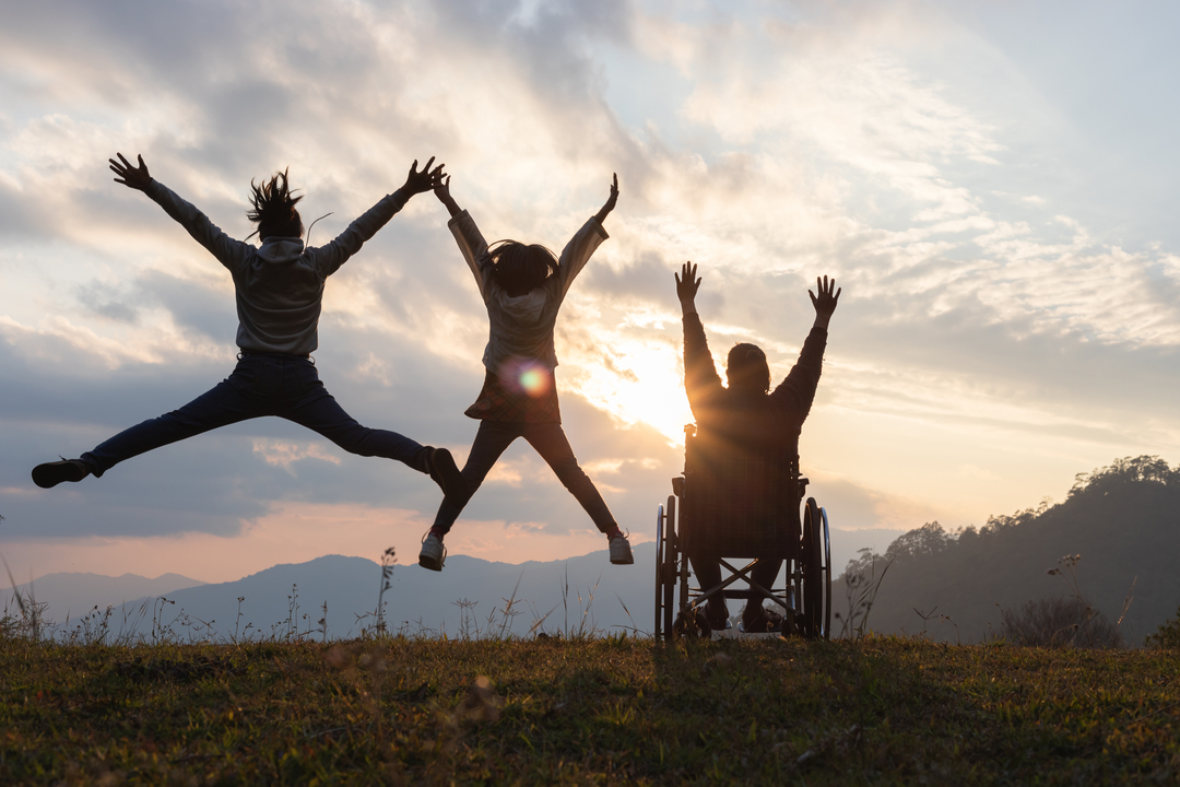 disabilità Piano azione triennale