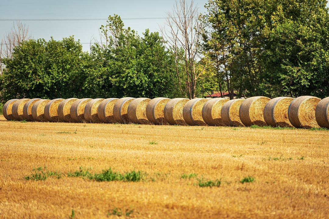 agricoltura lombarda 2021