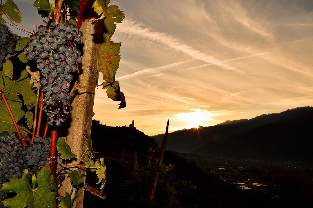 agricoltura montagna arest