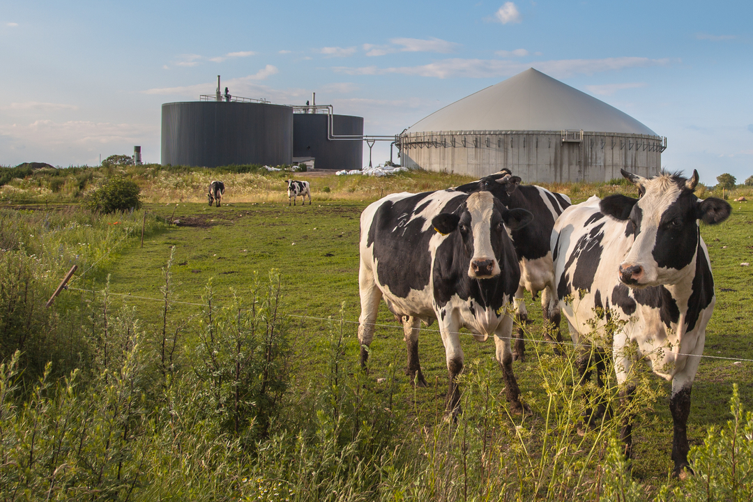 energia agricoltura produzione 2