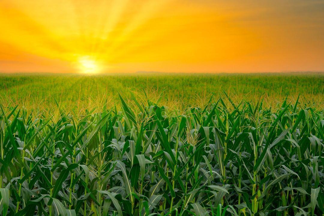 emissioni attività agricole lombardia