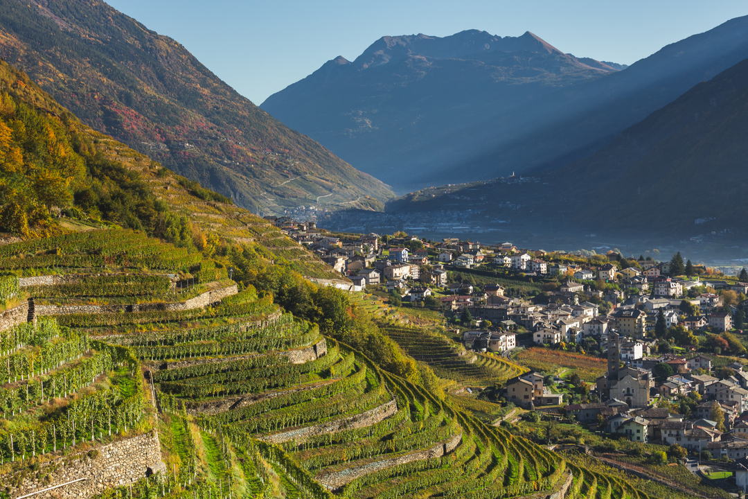 vigneti eroici valtellina