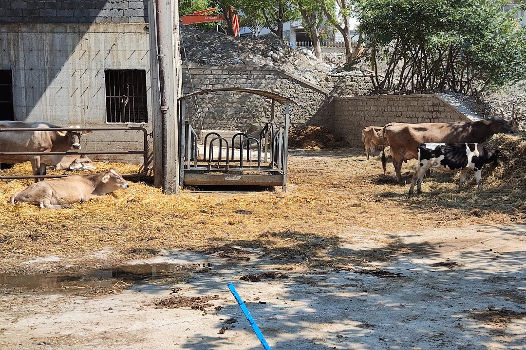 agricoltura stato calamità valcamonica oltrepò