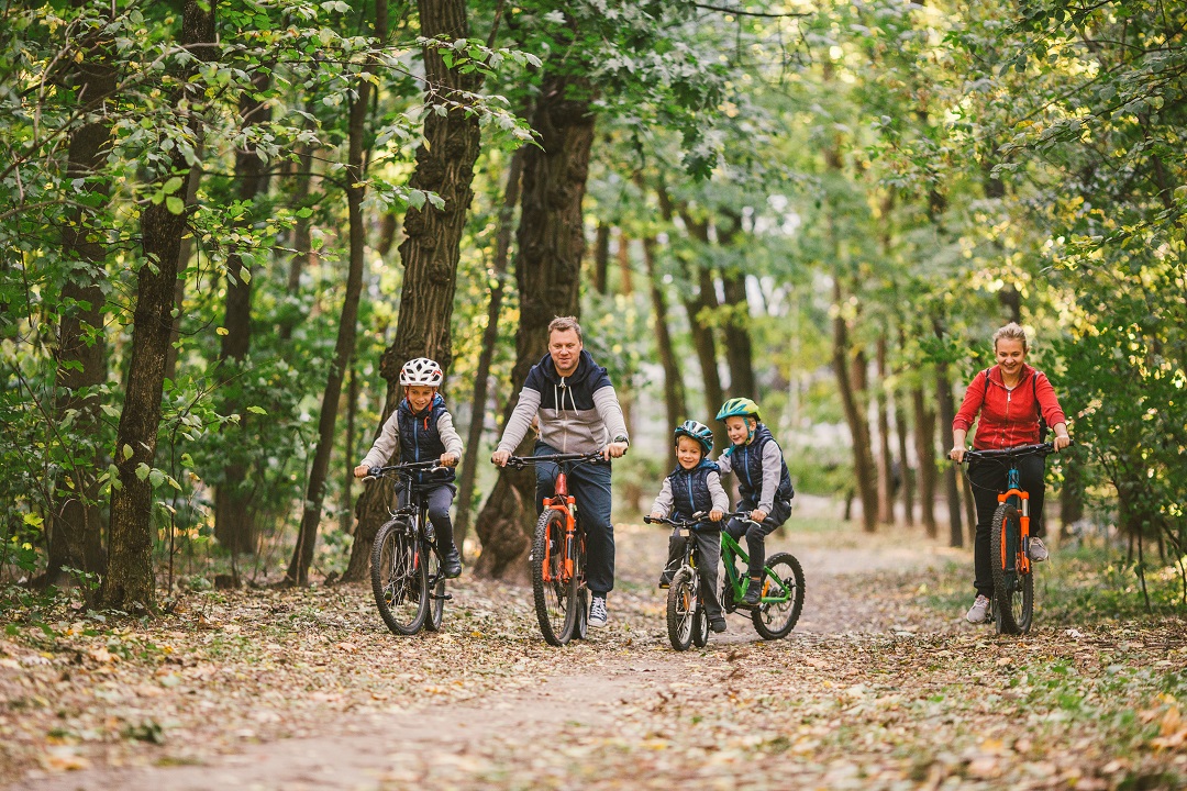 lombardia bando forestazione periurbana