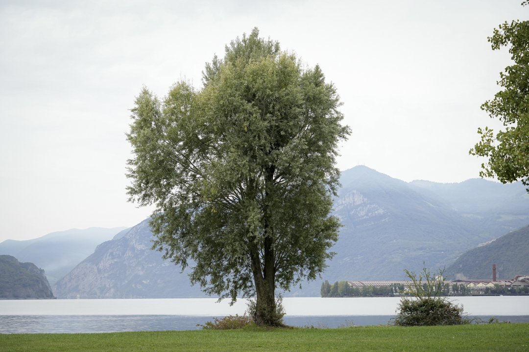 area interna Laghi Bergamaschi sponda nord lago Iseo a Costa Volpino