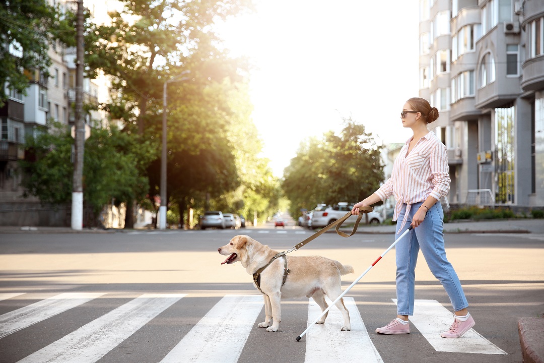 associazioni cani non vedenti