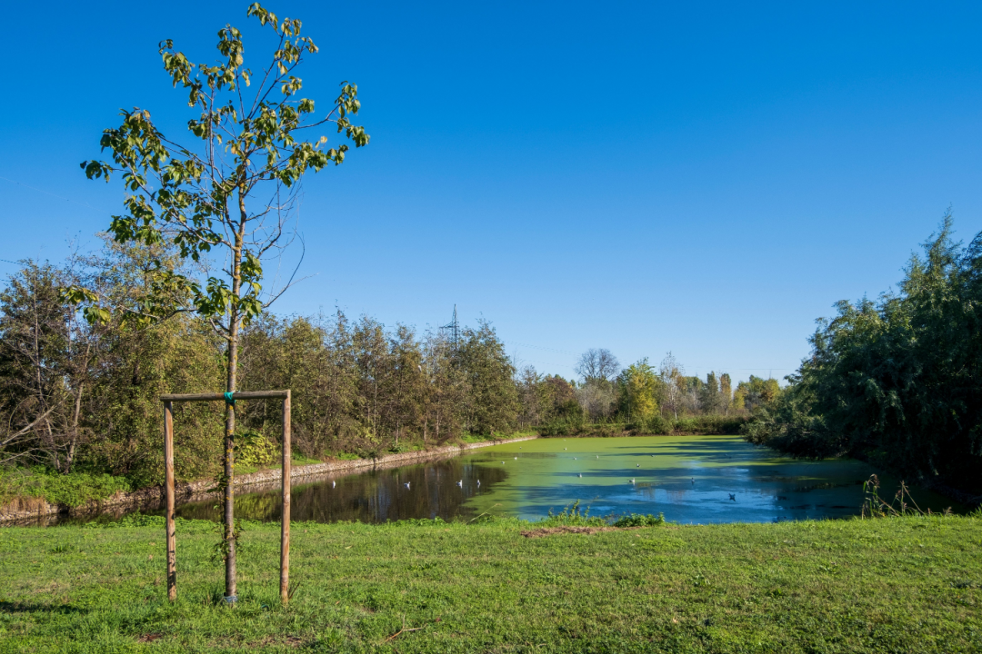 parco agricolo nuovo commissario