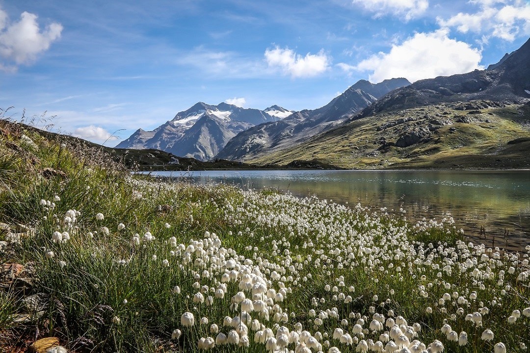 Parco Stelvio interventi