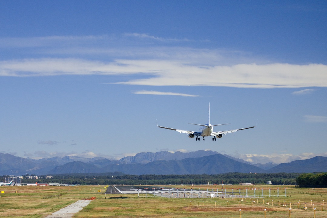 Brughiere di Malpensa e Lonate