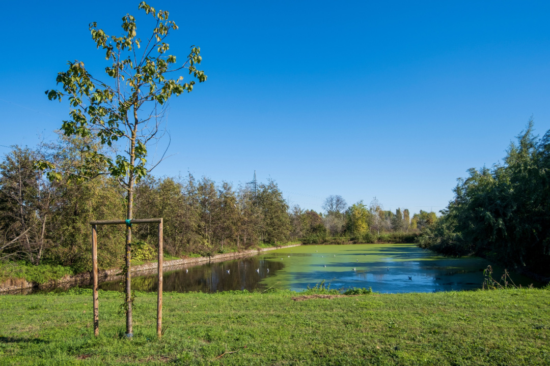 Parco sud Milano