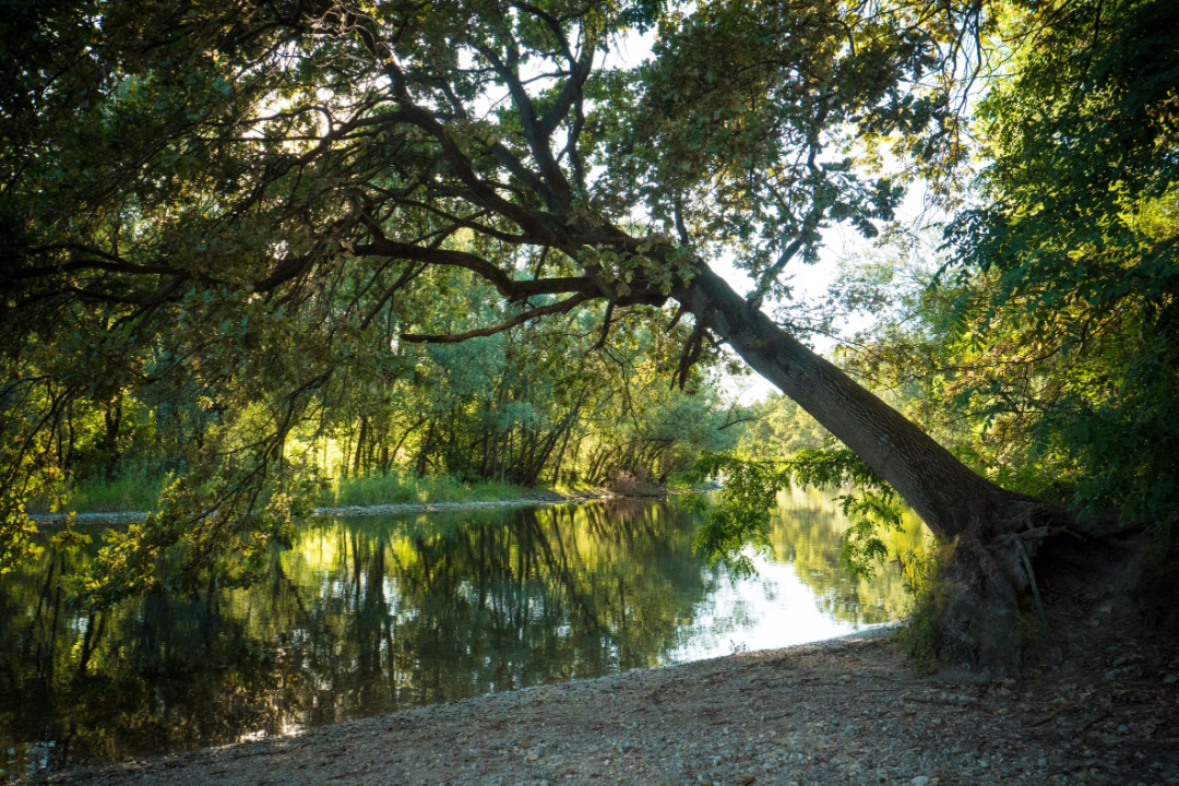 Parco Ticino 50 anni