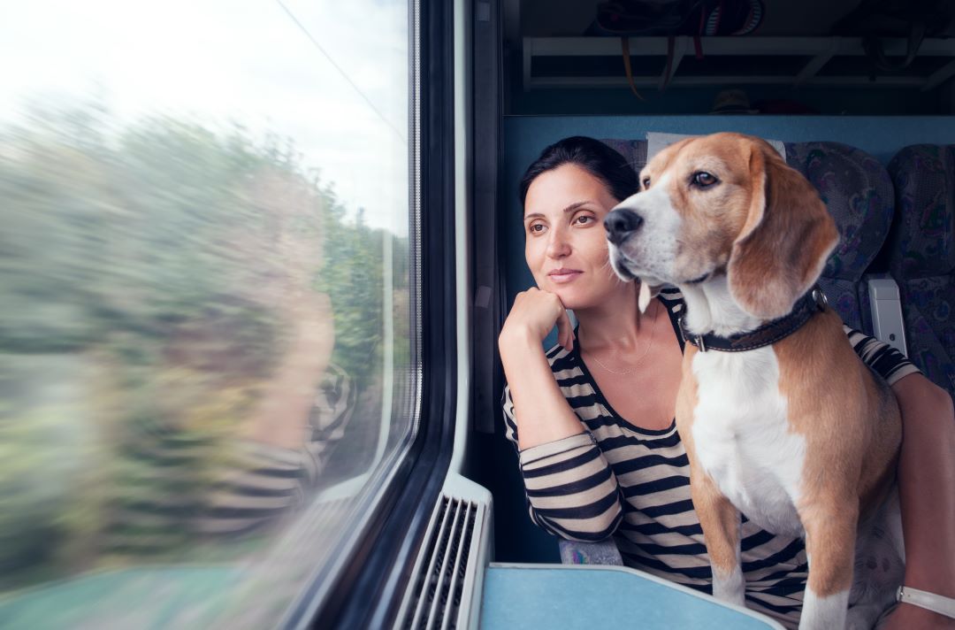 cani gratis treno bici