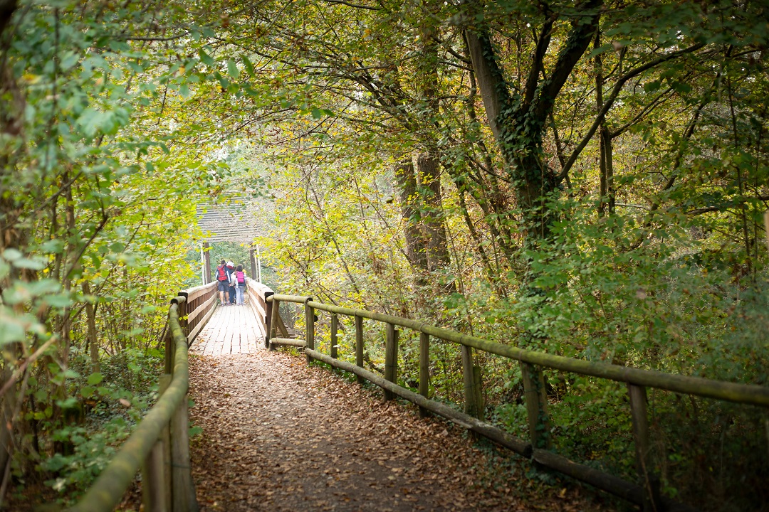 50 anni parco ticino