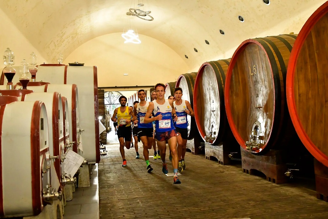 Valcamonica Wine Trail 2024