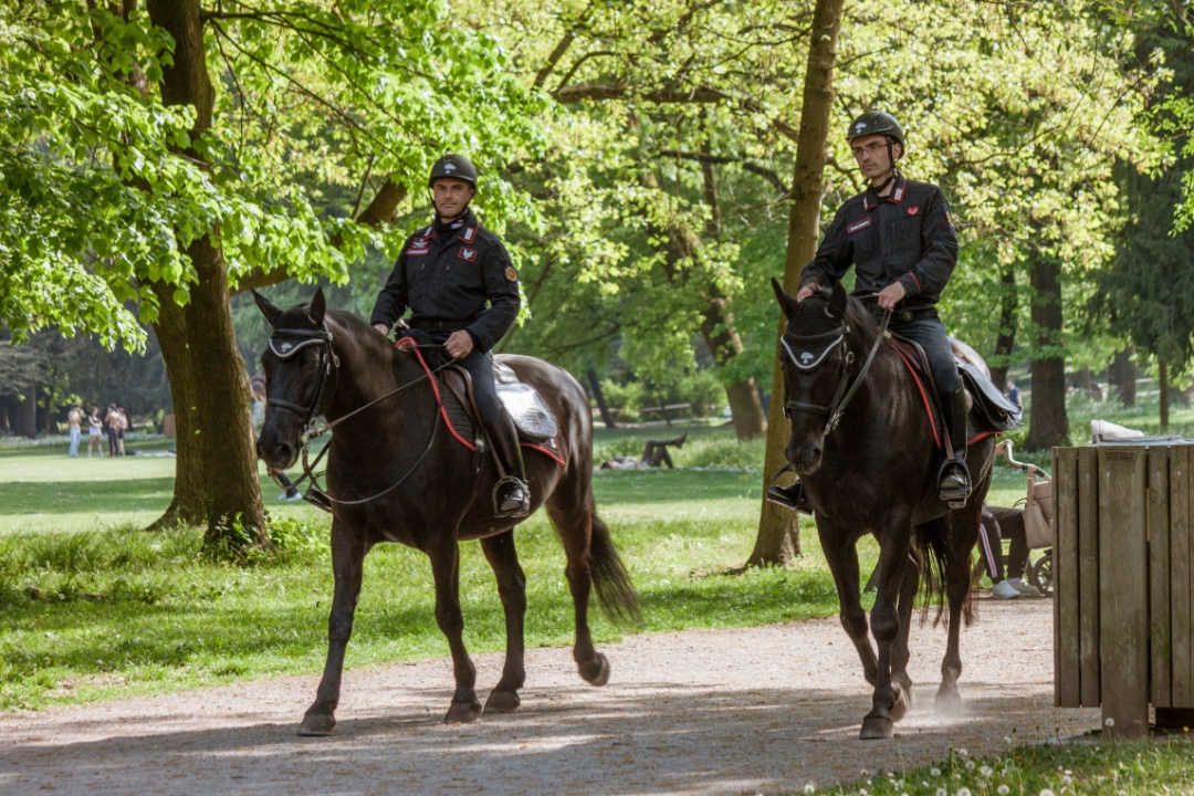 Carabinieri forestali